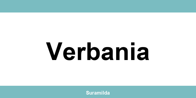 Telefono diretto della sede SDA di Verbania